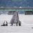 Whale Watching Week