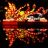 Chinese New Year Lantern Viewing