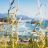 Full Day Oregon Coast Tour from Portland
