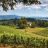 Willamette Valley Wine Tour