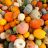 Harvest Festival