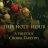 This Holy Hour: A Yuletide Choral Tapestry