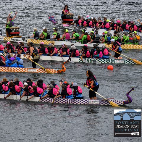 Dragon Boat Race - Portland Rose Festival - My Family Guide