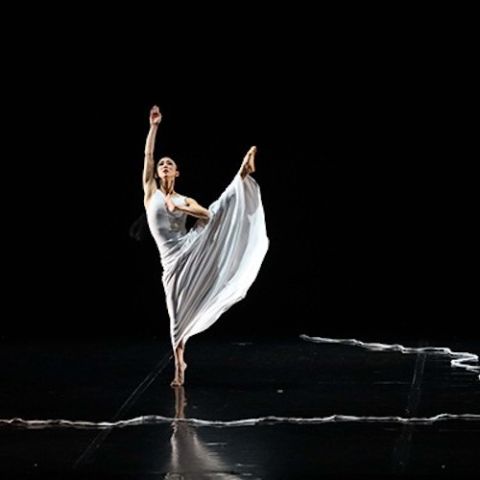【中古】 バレエ＆ダンス / Martha Graham: In Performance Martha Graham Dance Company | The Official Guide to Portland