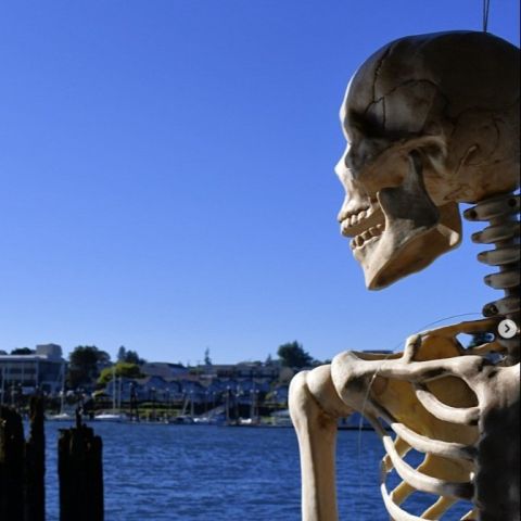 Spirit of Halloweentown
