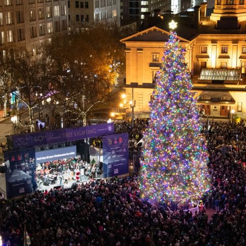 Annual Tree Lighting Ceremony