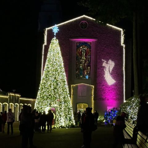 Christmas Festival of Lights