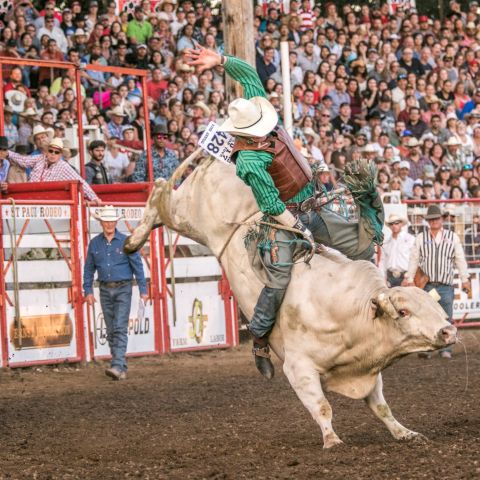 St. Paul Rodeo