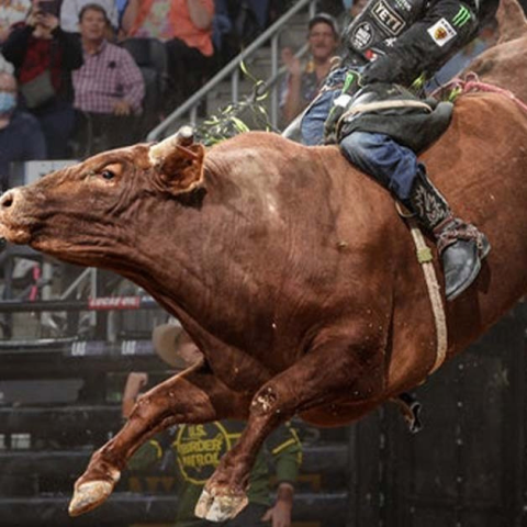 PBR - Pendleton Whisky Velocity Tour