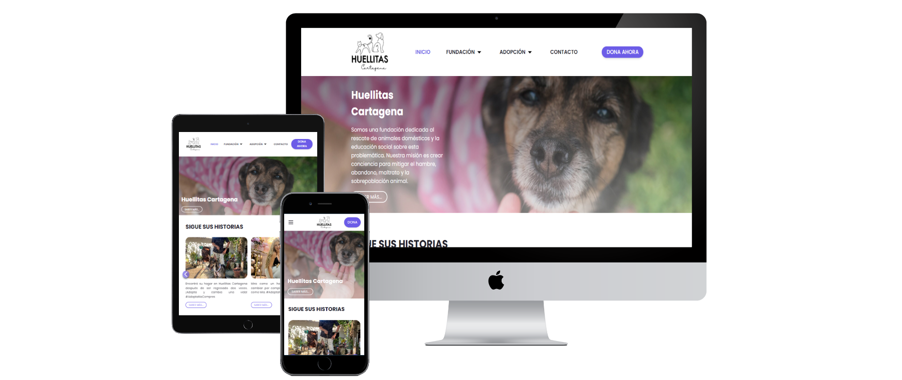 HuellitasCTG - WEBAPP