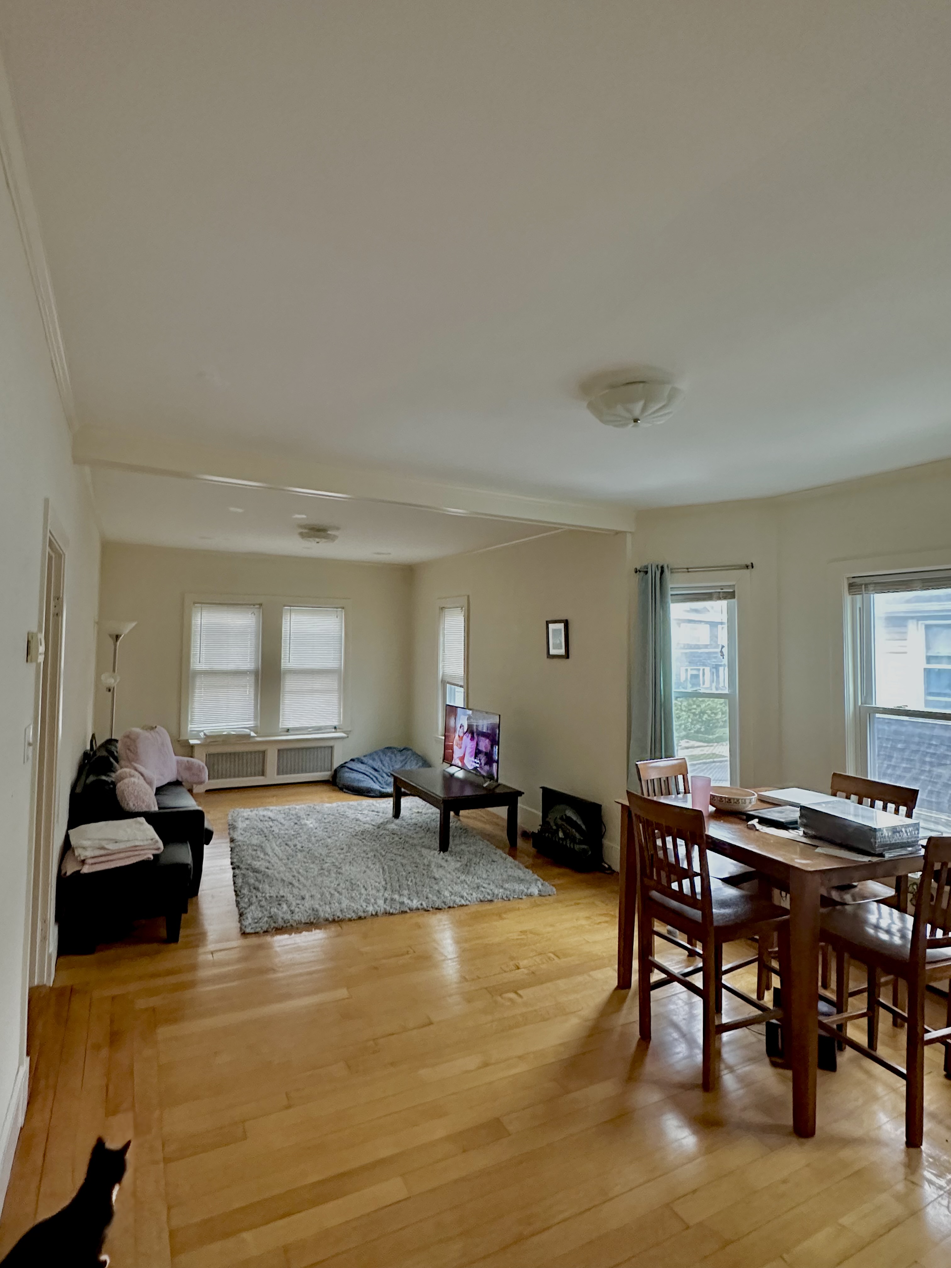 Summer 2024 sublet near Tufts — photo 2