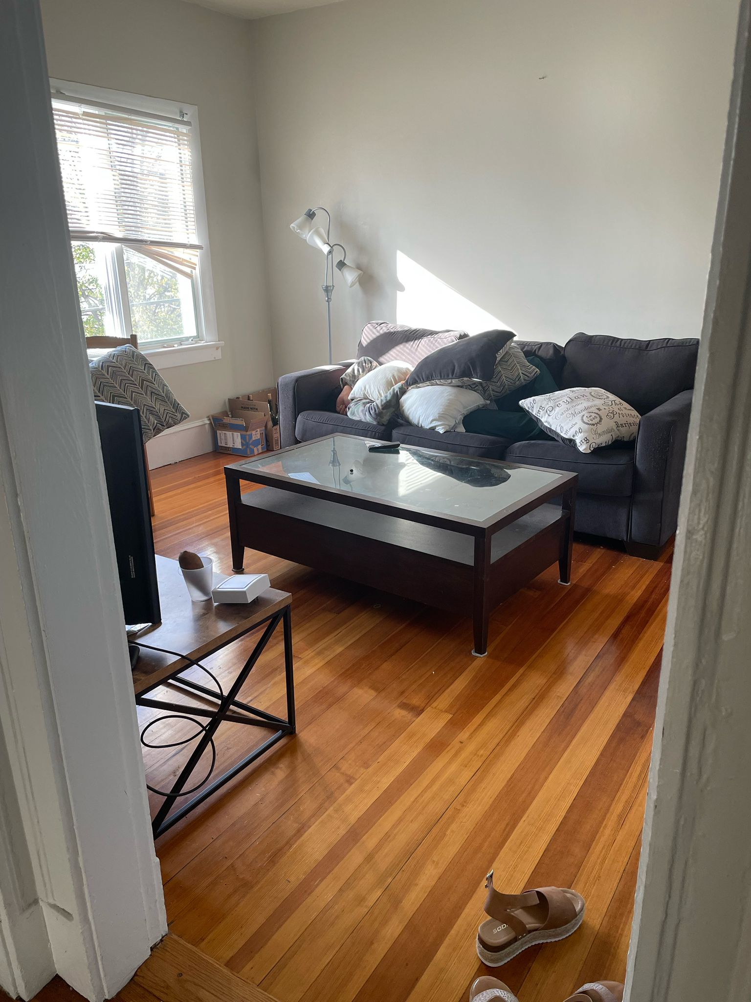 Summer 2024 sublet near Tufts — photo 3