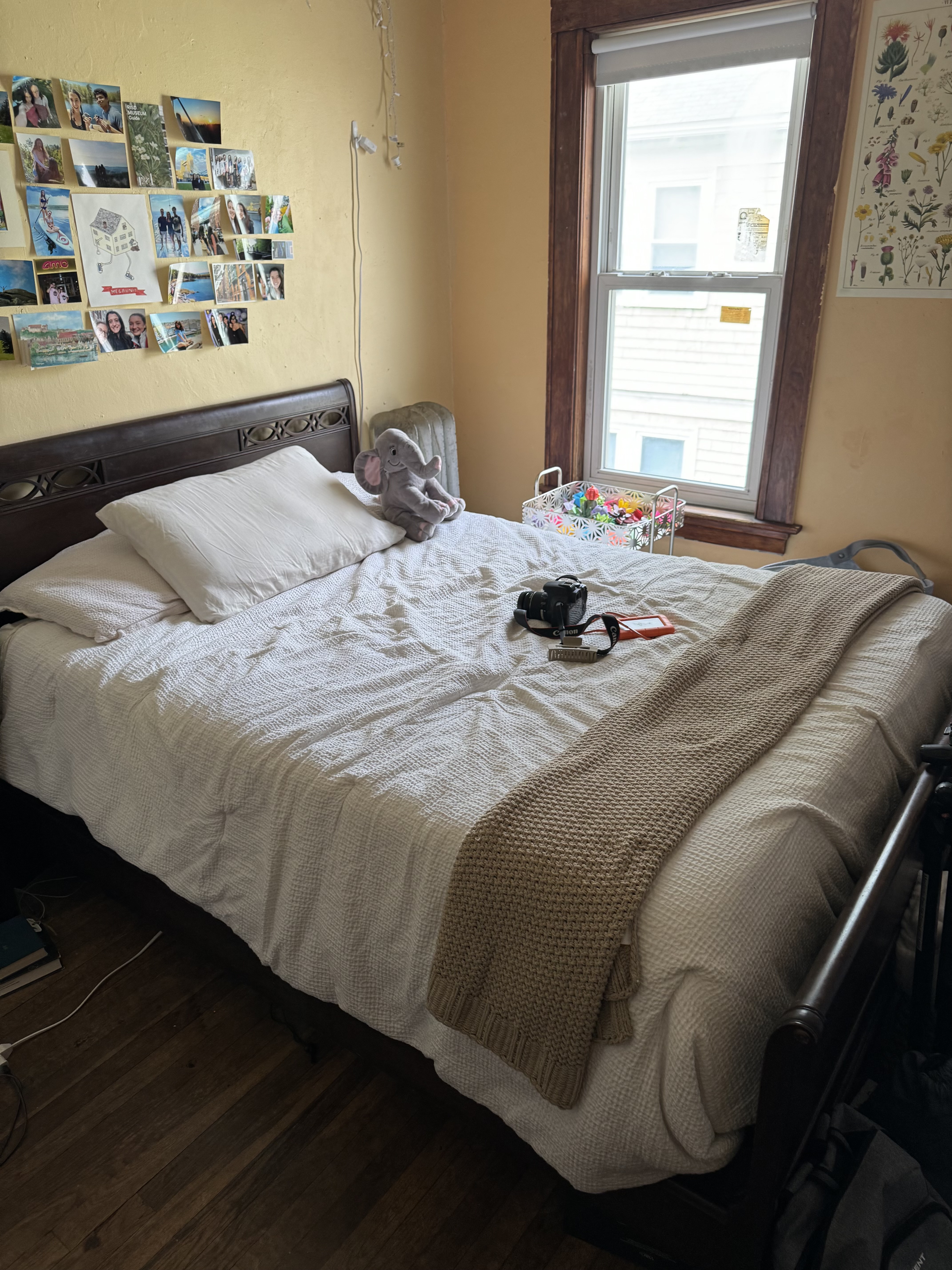 Summer 2024 sublet near Tufts — photo 2