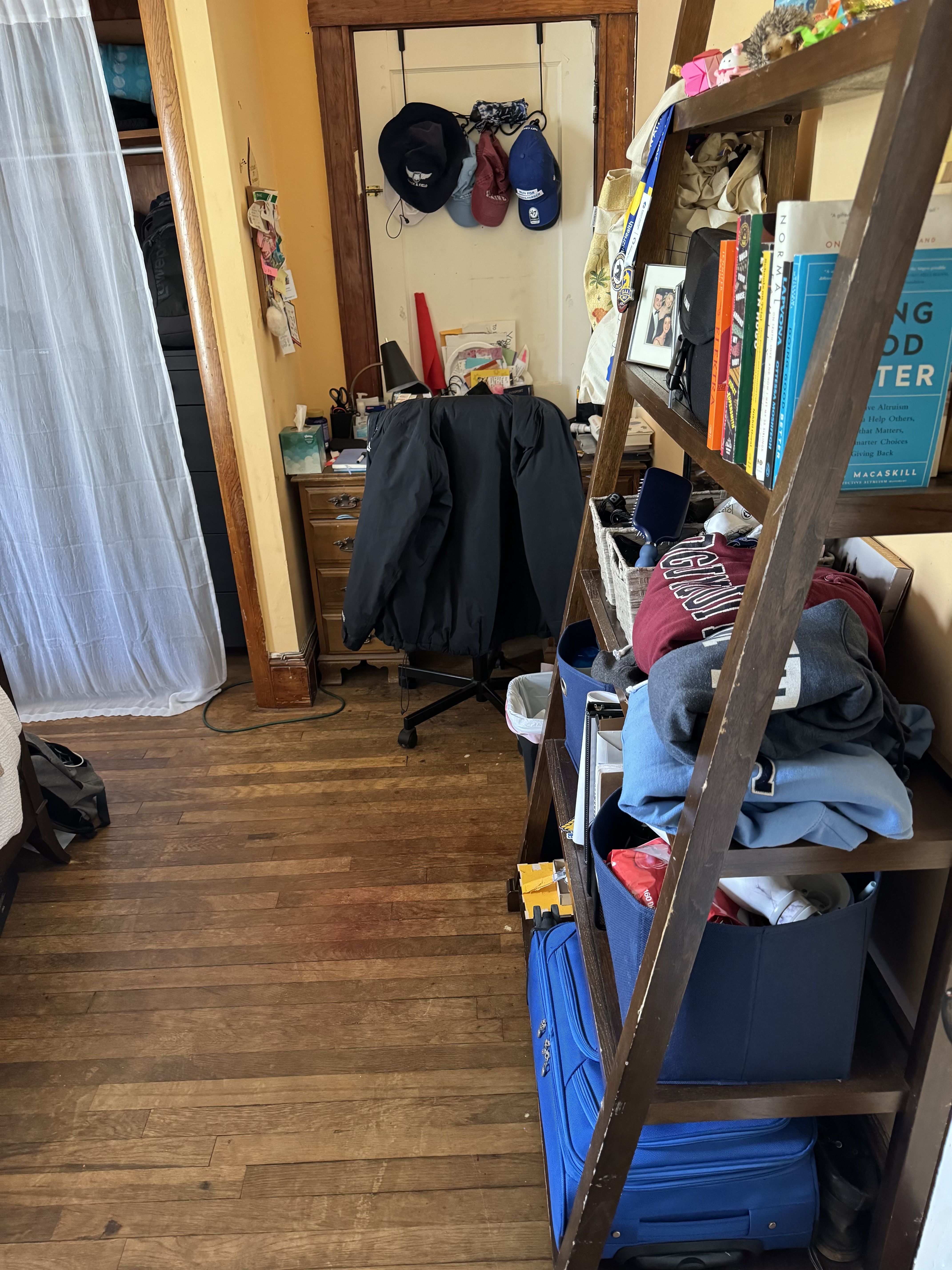 Summer 2024 sublet near Tufts — photo 3