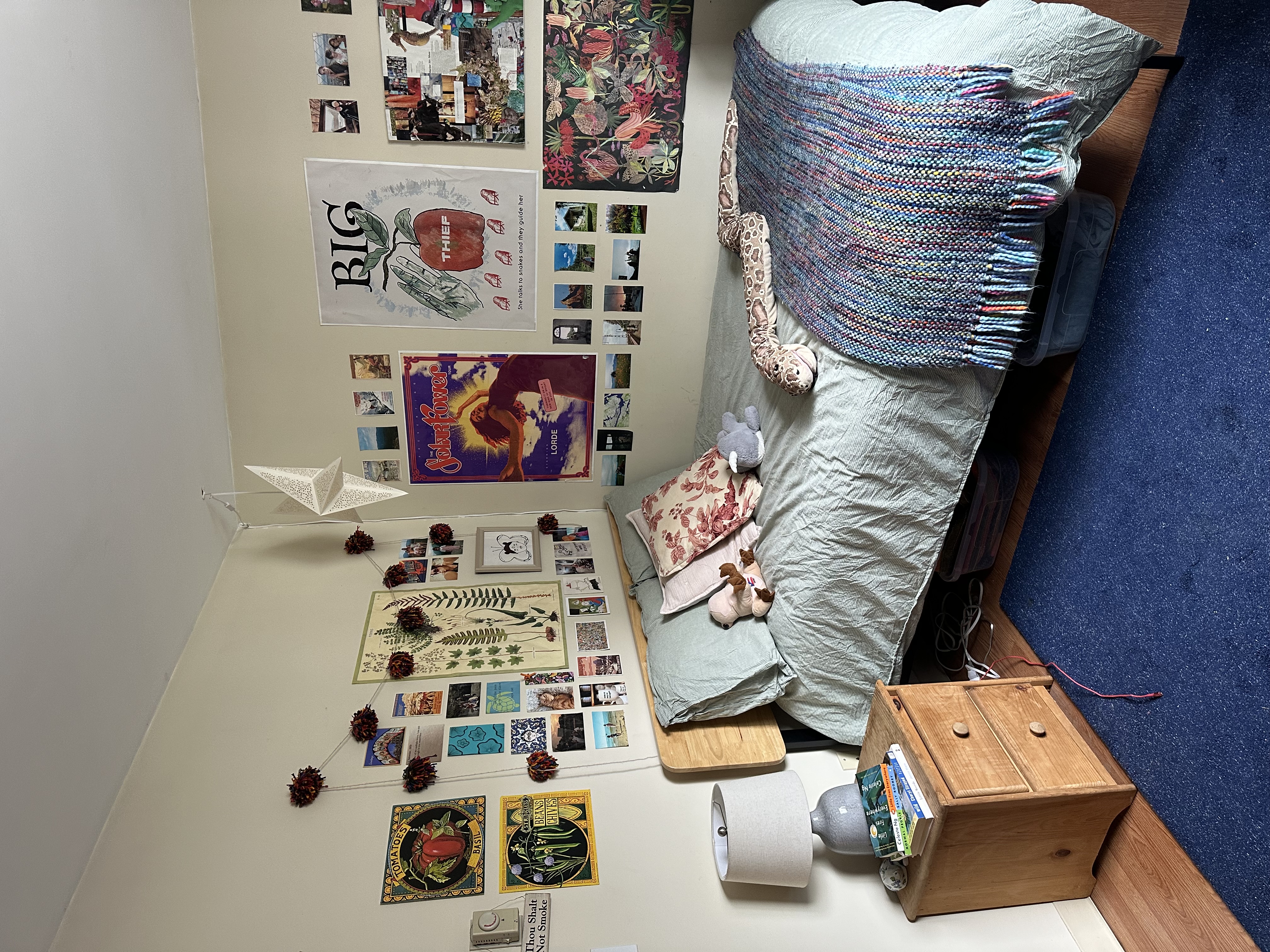 Summer 2024 sublet near Tufts — photo 1