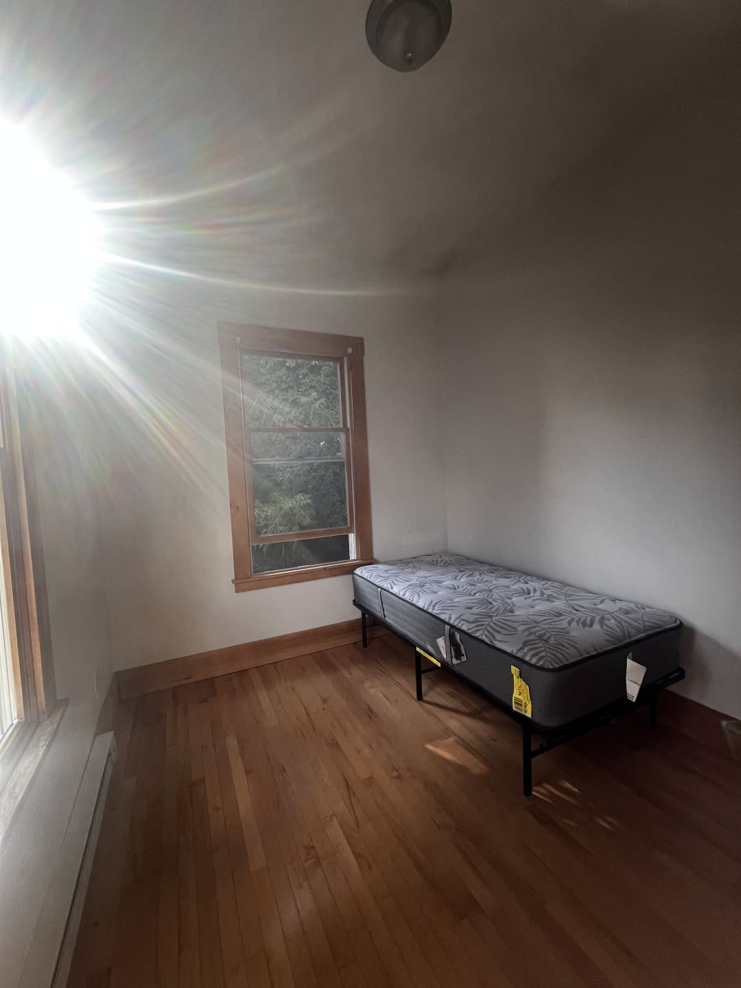 Spring 2025 sublet near Tufts — photo 1