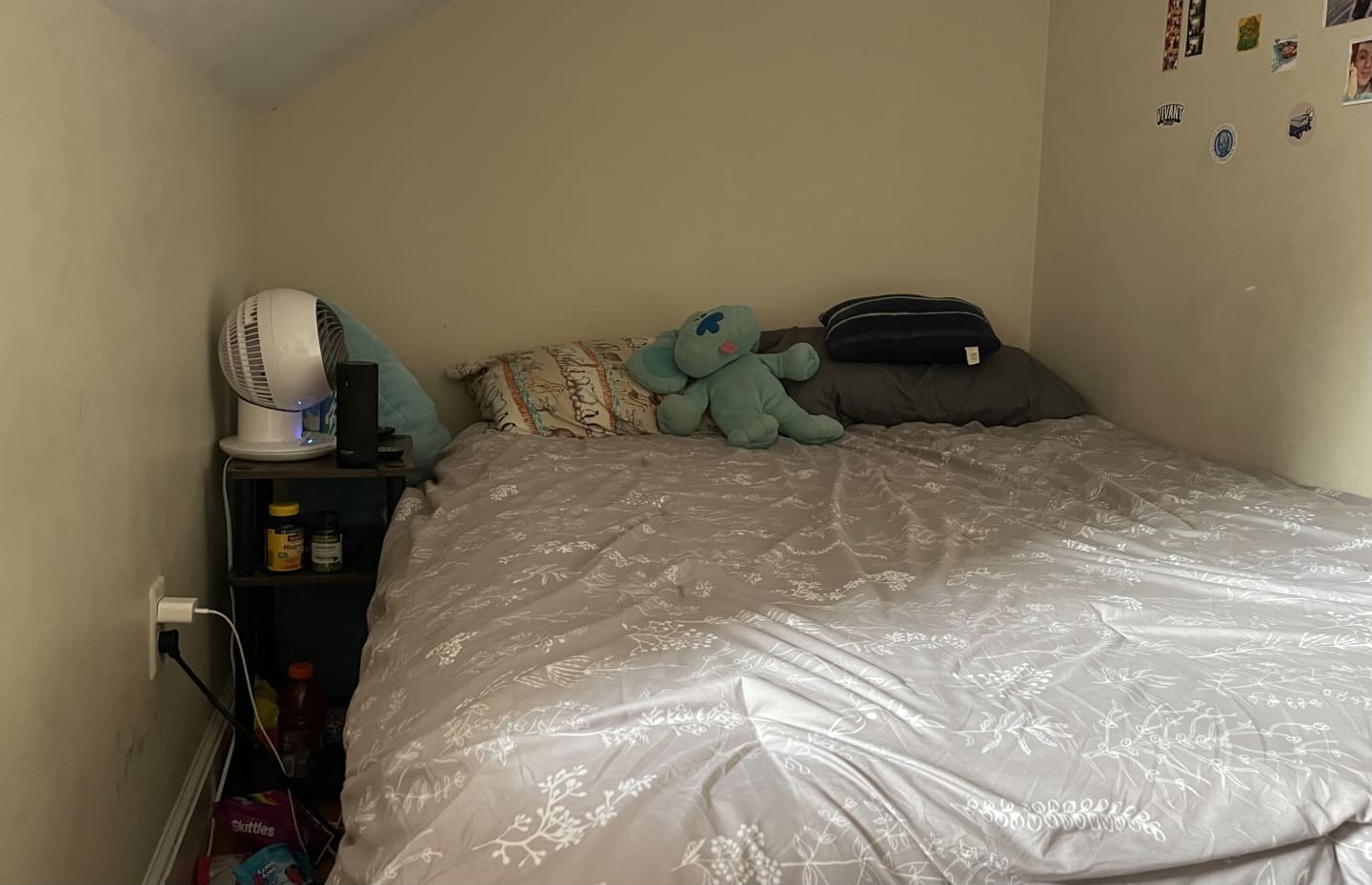 Spring 2025 sublet near Tufts — photo 5