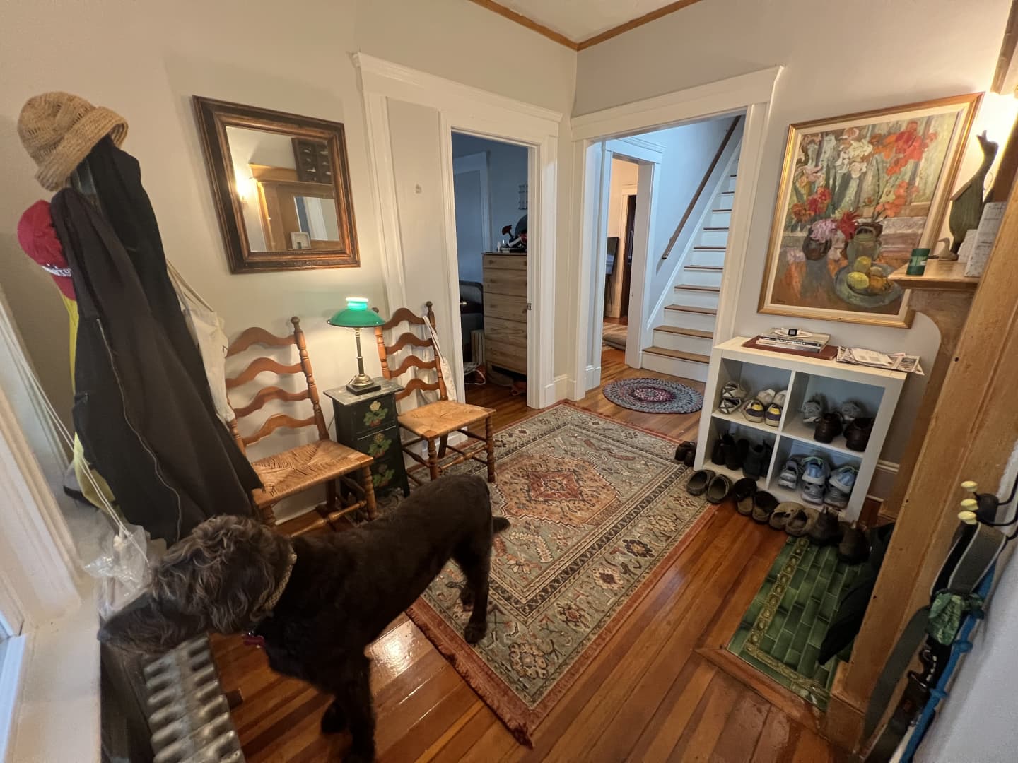 Spring 2025 sublet near Tufts — photo 6