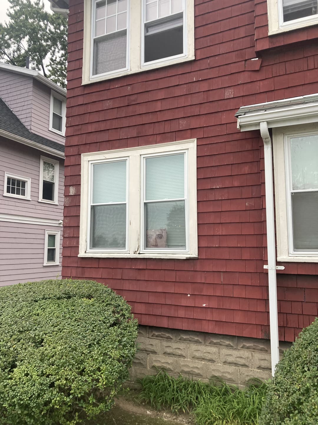 Summer 2025 sublet near Tufts — photo 6