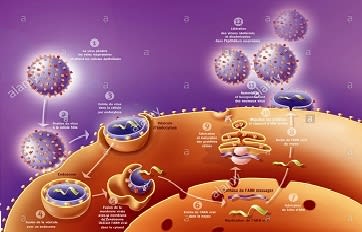 Hepatitis C Virus Infection: How Are You Managing the Cost of Newer Treatments?