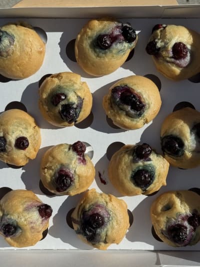 MINI Blueberry Vanilla Muffins