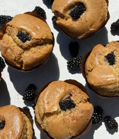 Muffin - LEMON POPPY BLACKBERRY