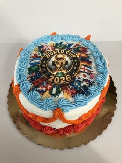 FIFA World Cup Cake