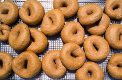 10-PACK -  SOURDOUGH BAGEL 