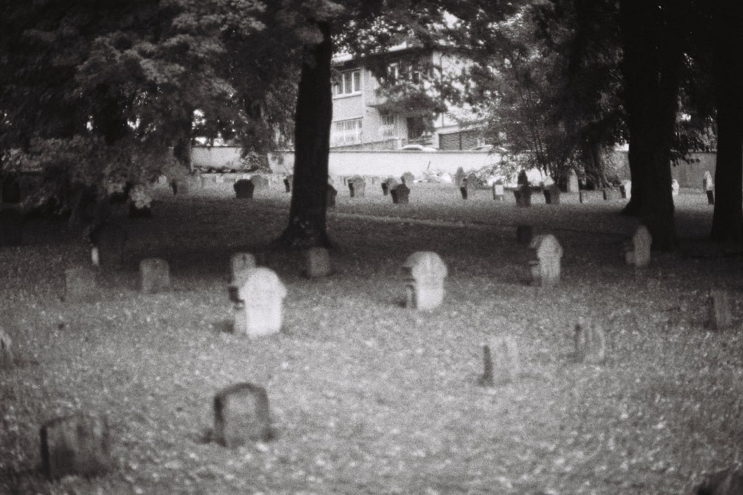 Echoes from the Grave