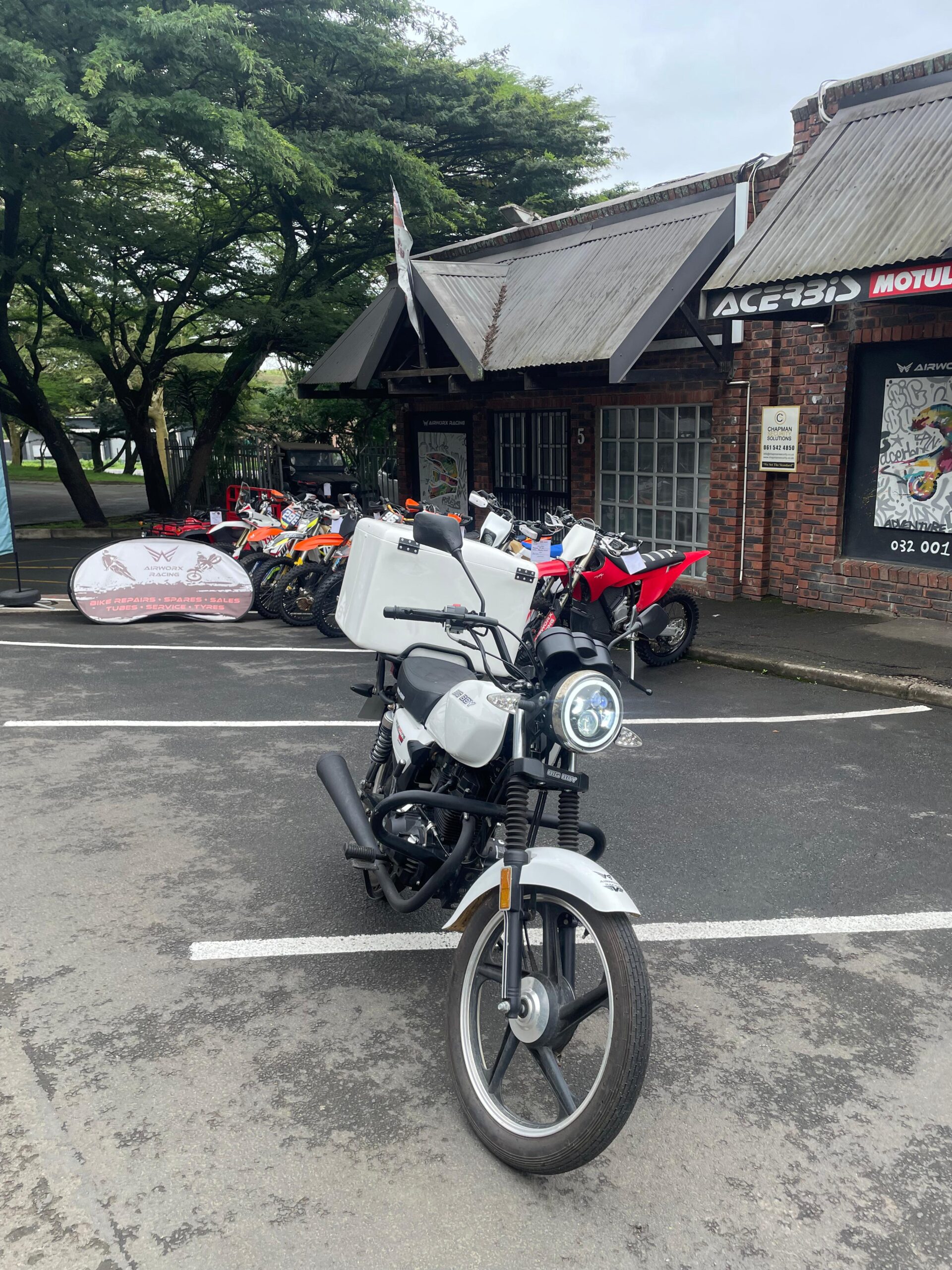 Big Boy Velocity Cargo 175cc view 1