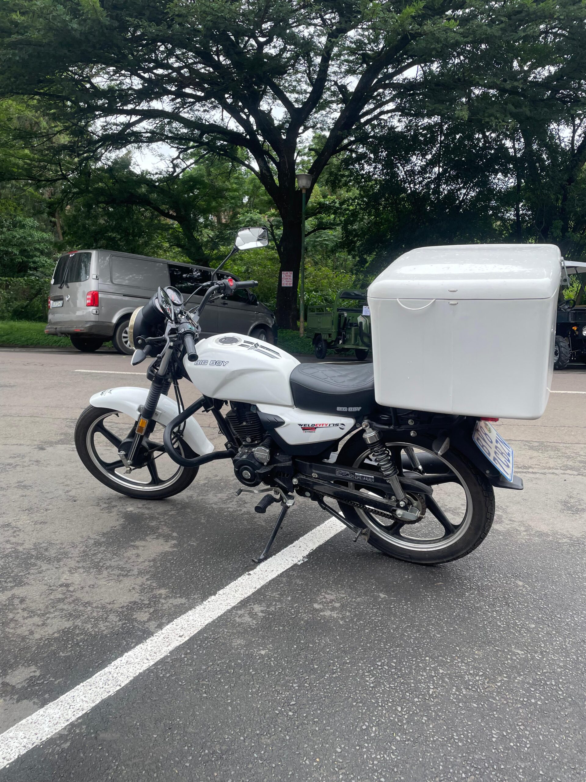 Big Boy Velocity Cargo 175cc view 2
