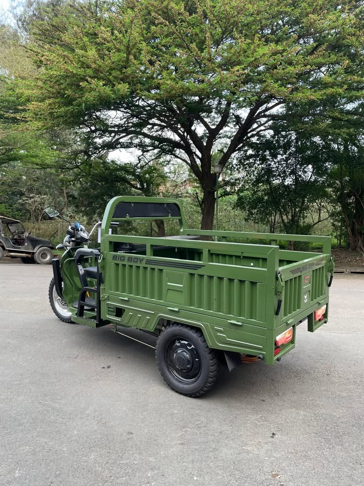 Big Boy Monster Cargo E-Trike 2200W view 1