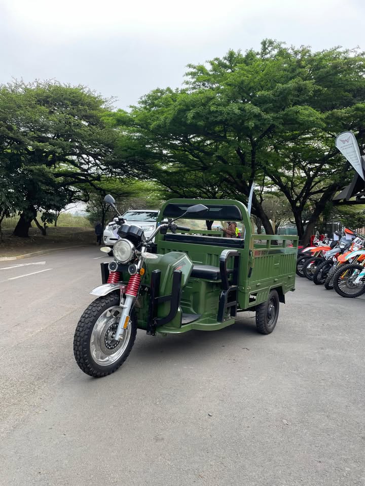 Big Boy Monster Cargo E-Trike 2200W view 2