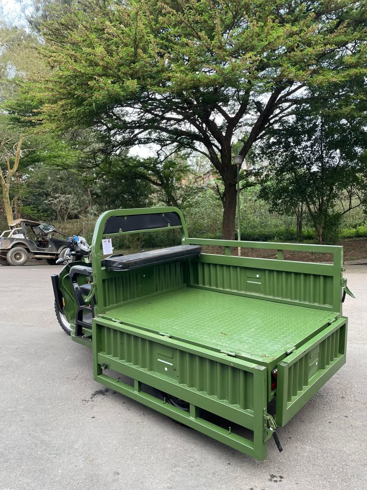 Big Boy Monster Cargo E-Trike 2200W view 5