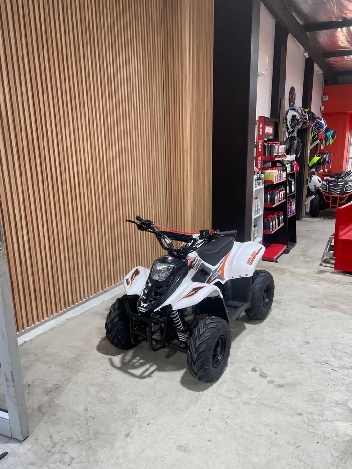 Actual Big Boy Monster Puma 110 ATV offered by Airworx Racing