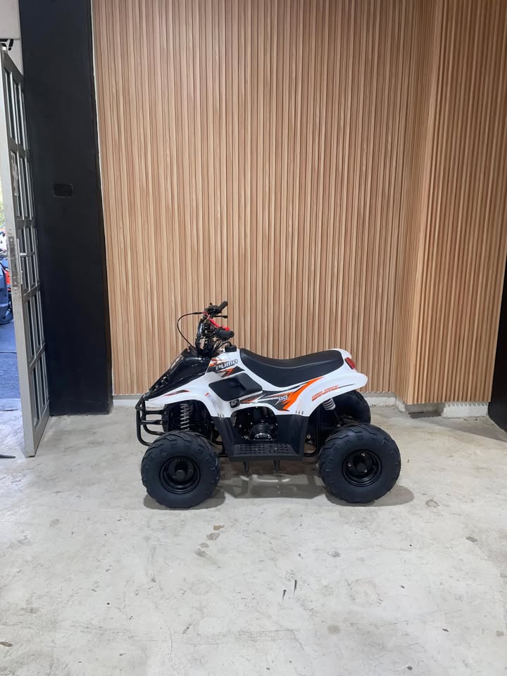 Big Boy Monster Puma 110 ATV view 1