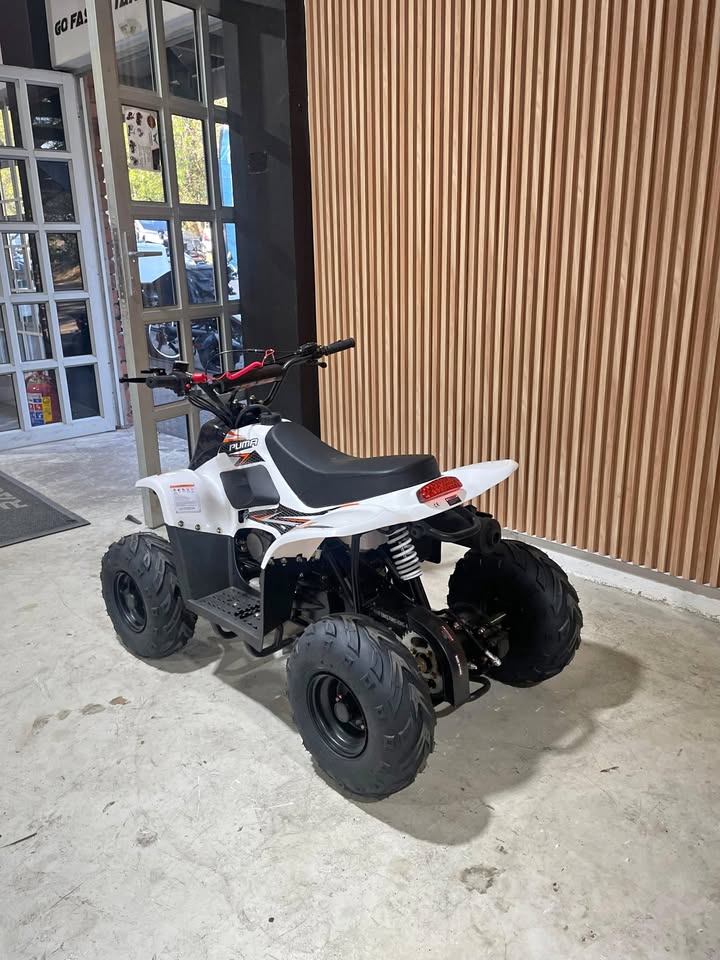 Big Boy Monster Puma 110 ATV view 2