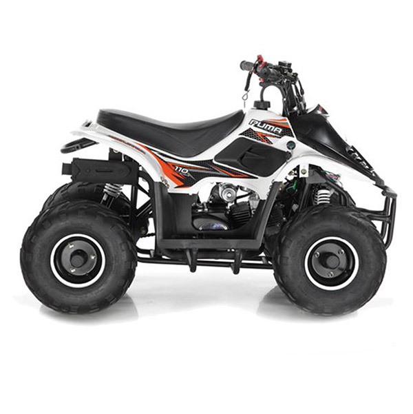 Big Boy Monster Puma 110 ATV