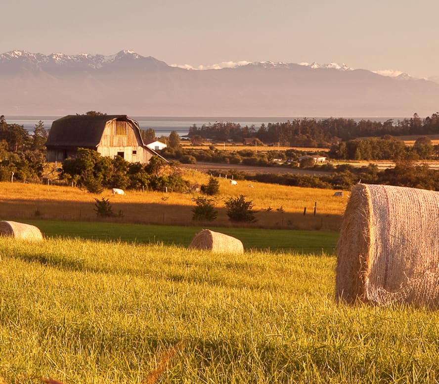 San Juan Valley on San Juan Island