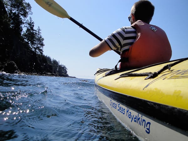 3 Hour Kayak Tours