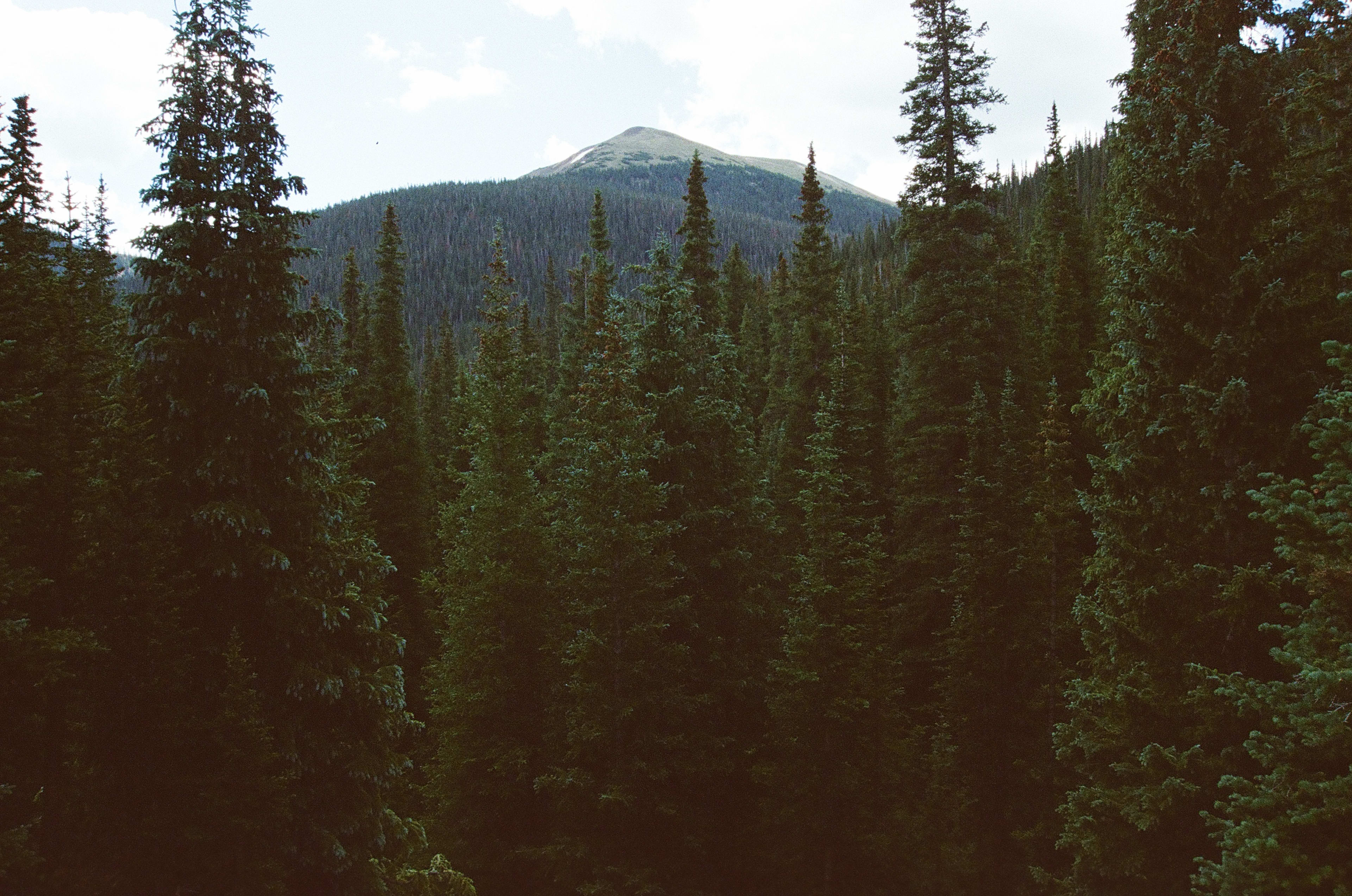 Butler Gulch, 2025