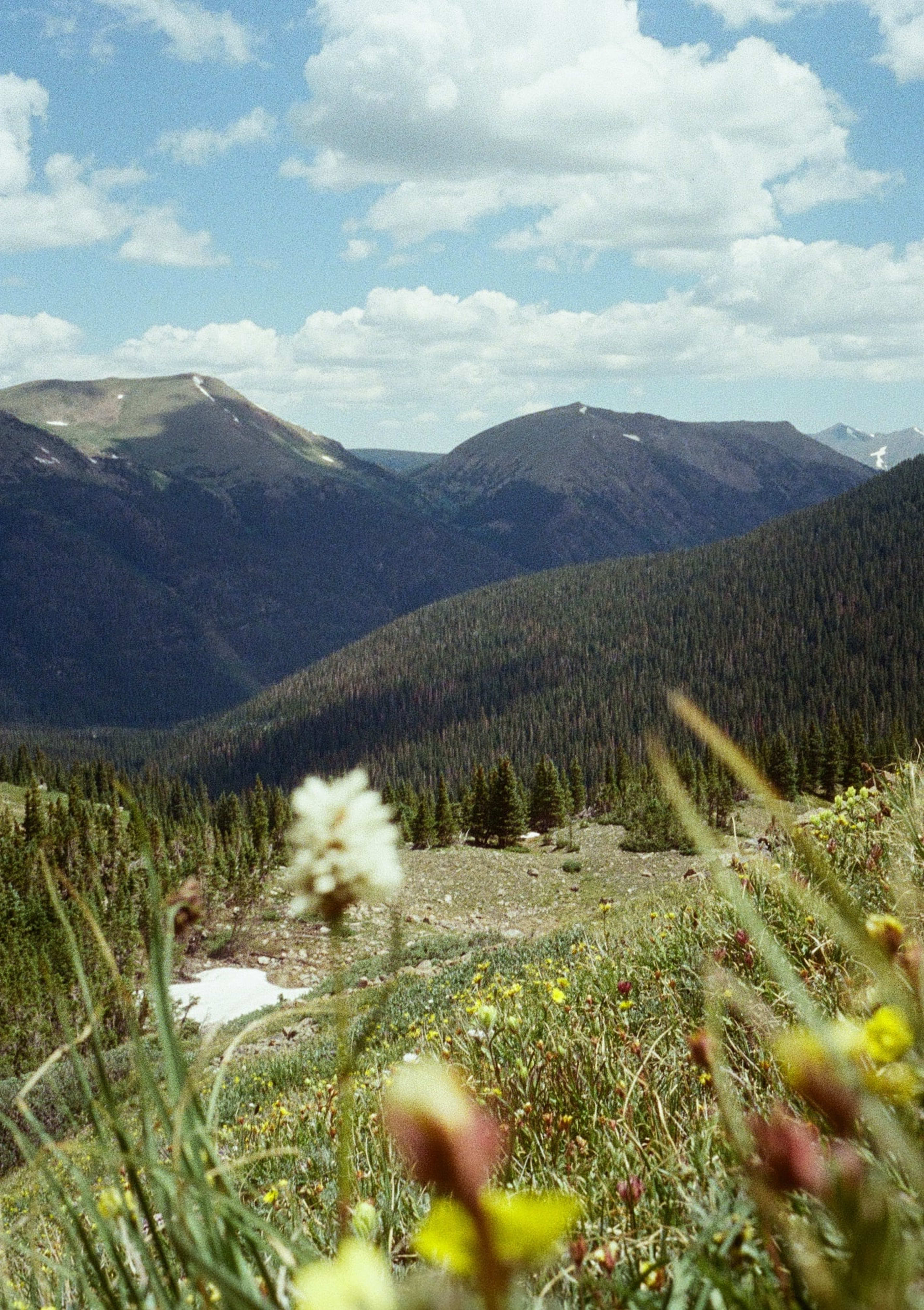 Butler Gulch, 2025