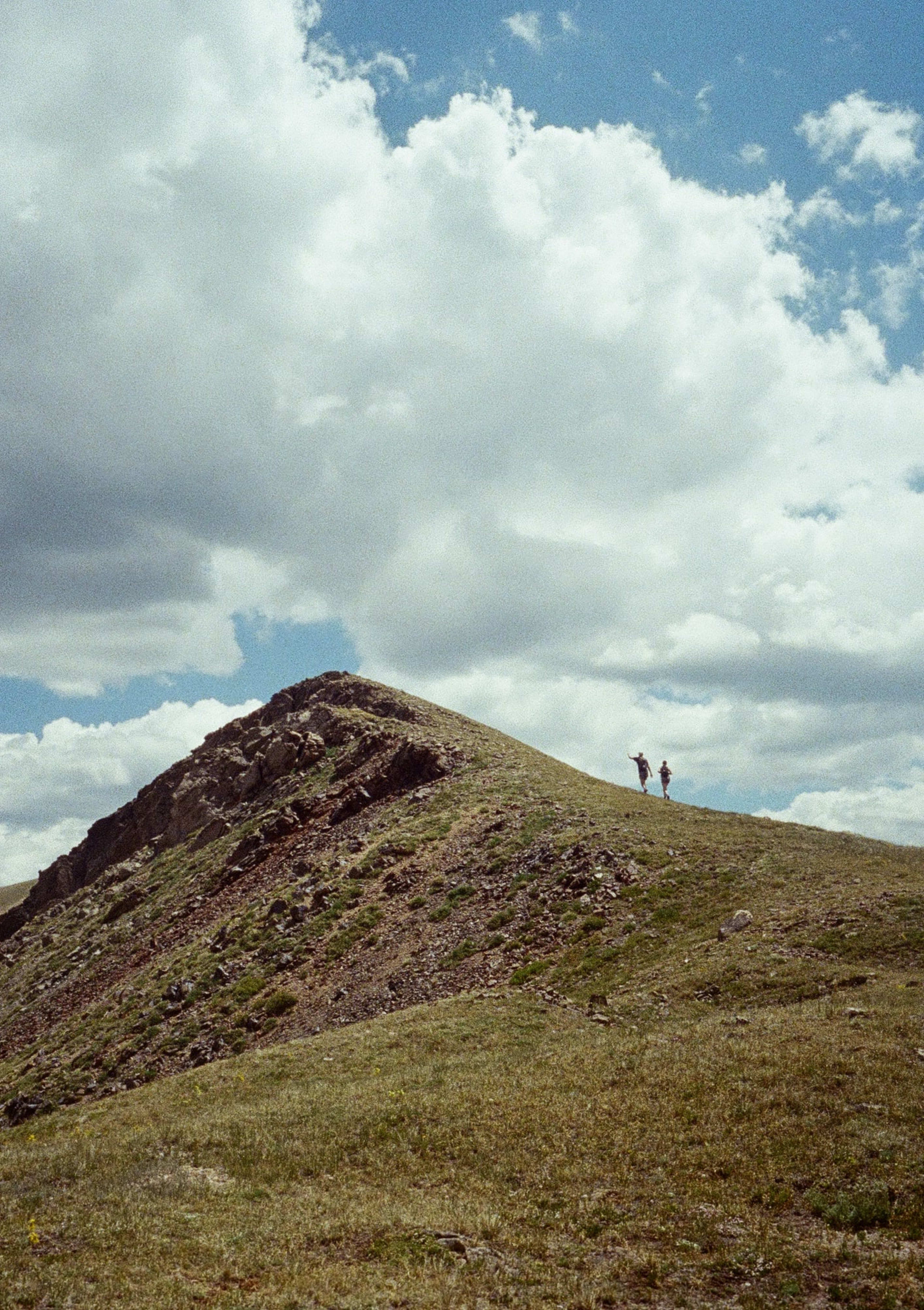 Butler Gulch, 2025
