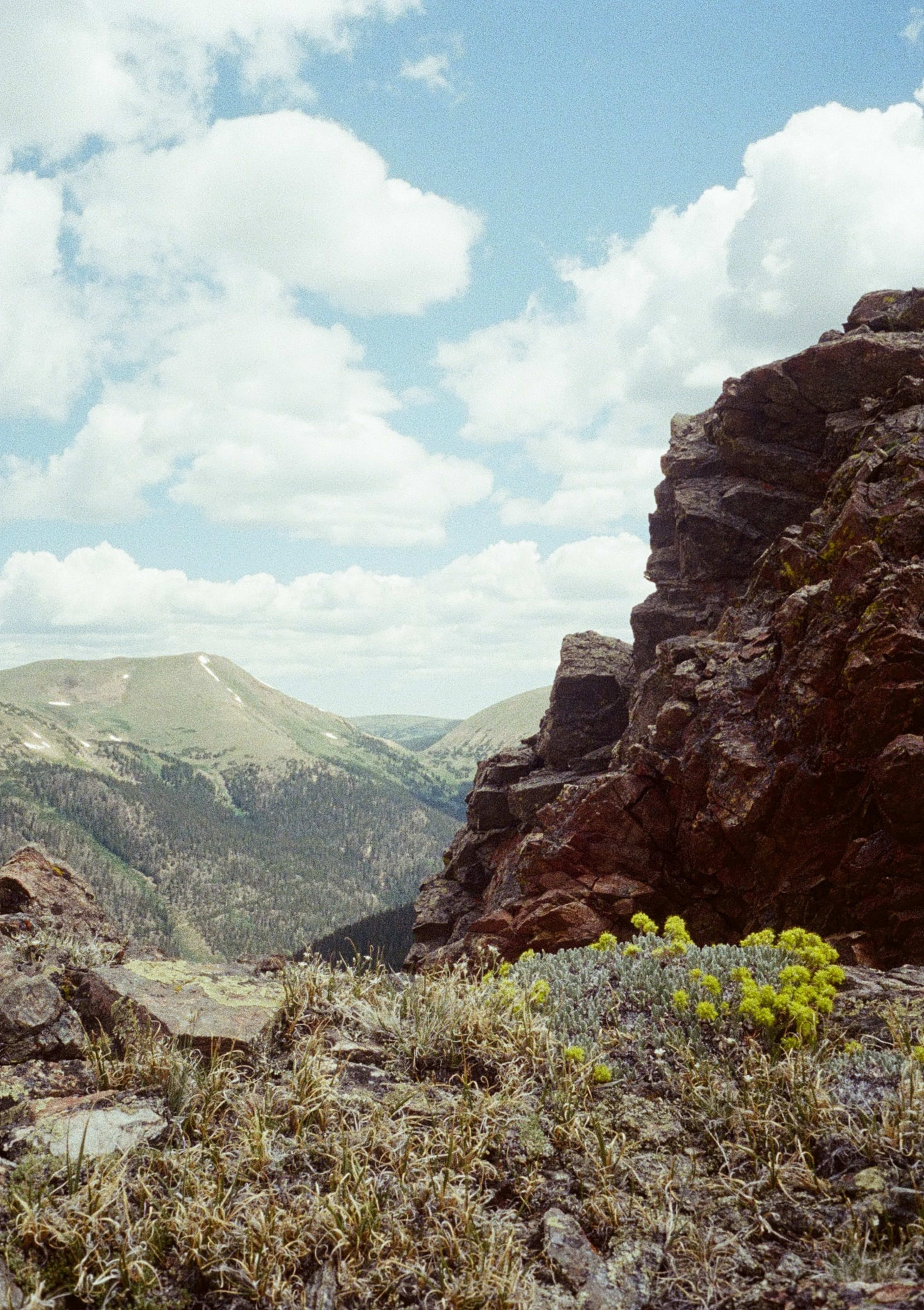 Butler Gulch, 2025