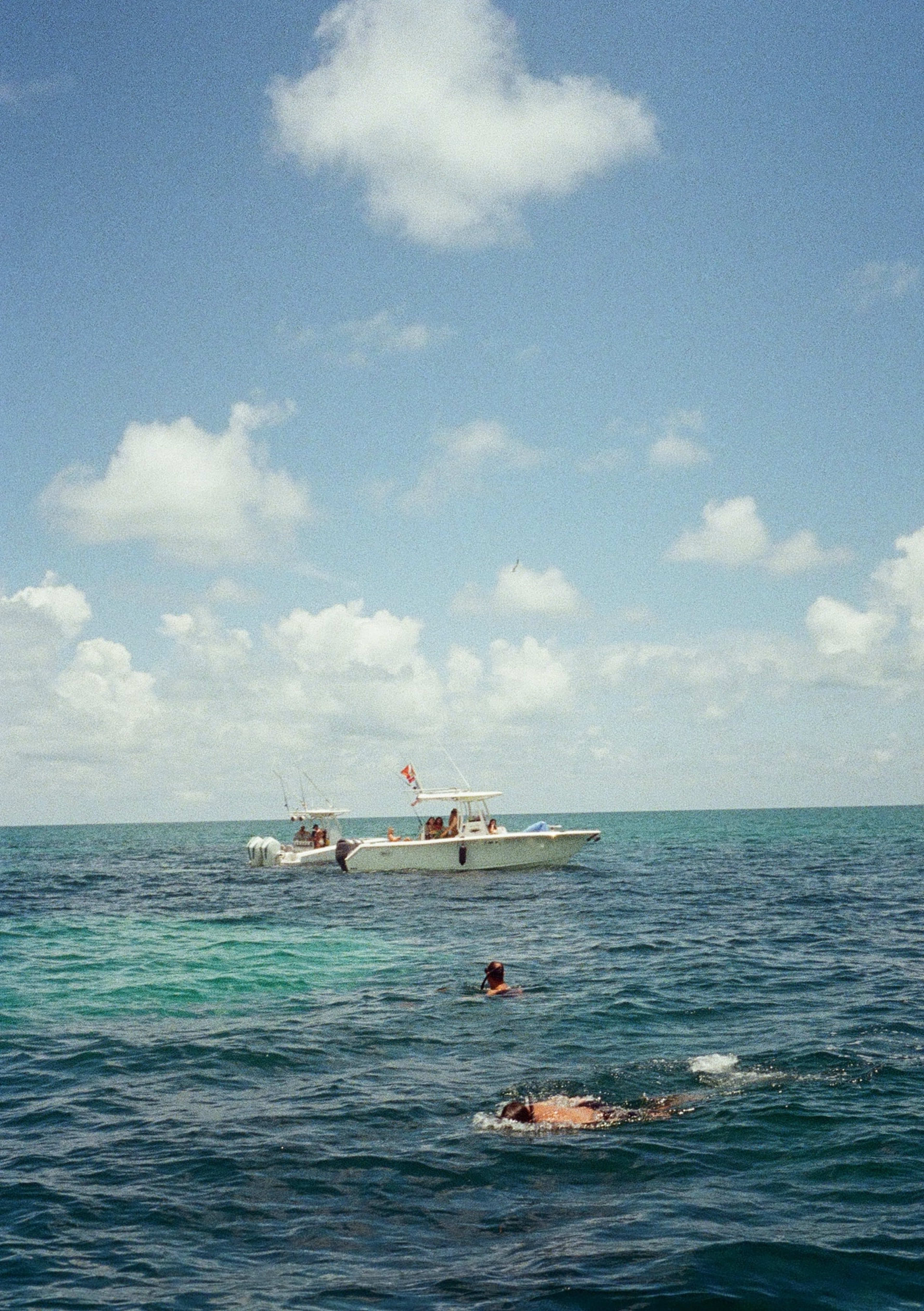 Bimini, 2025
