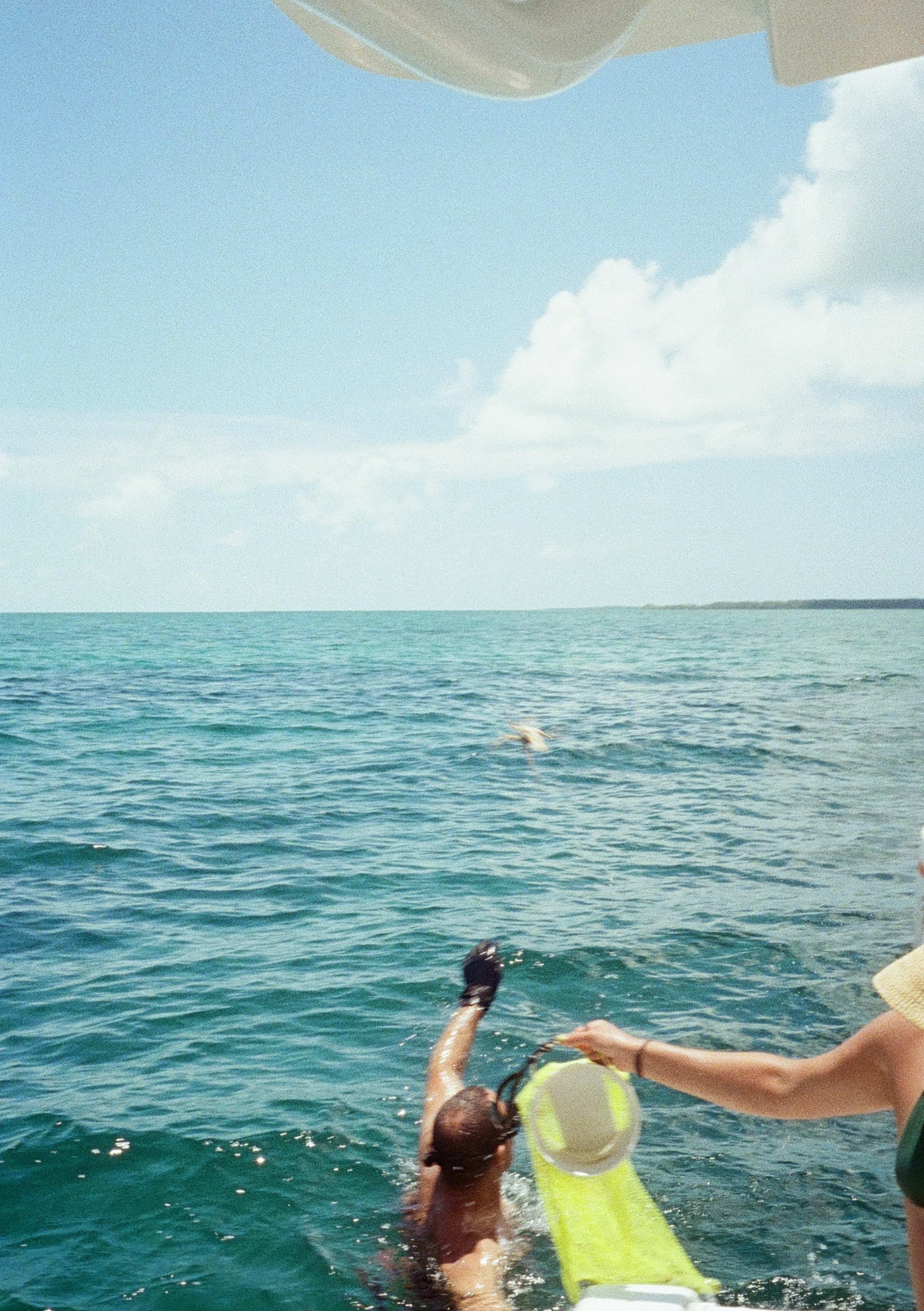Bimini, 2025