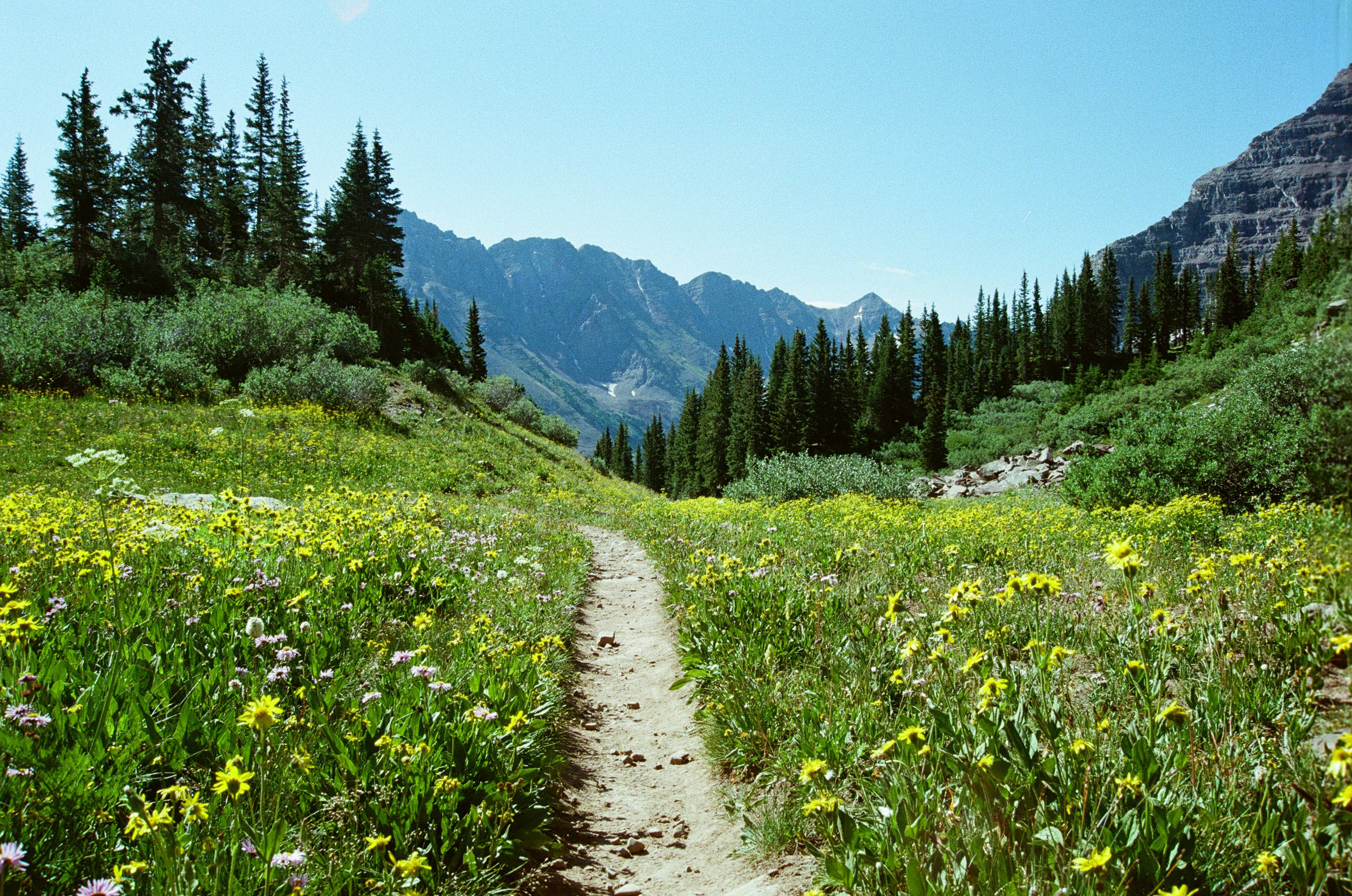 Maroon Bells, 2025