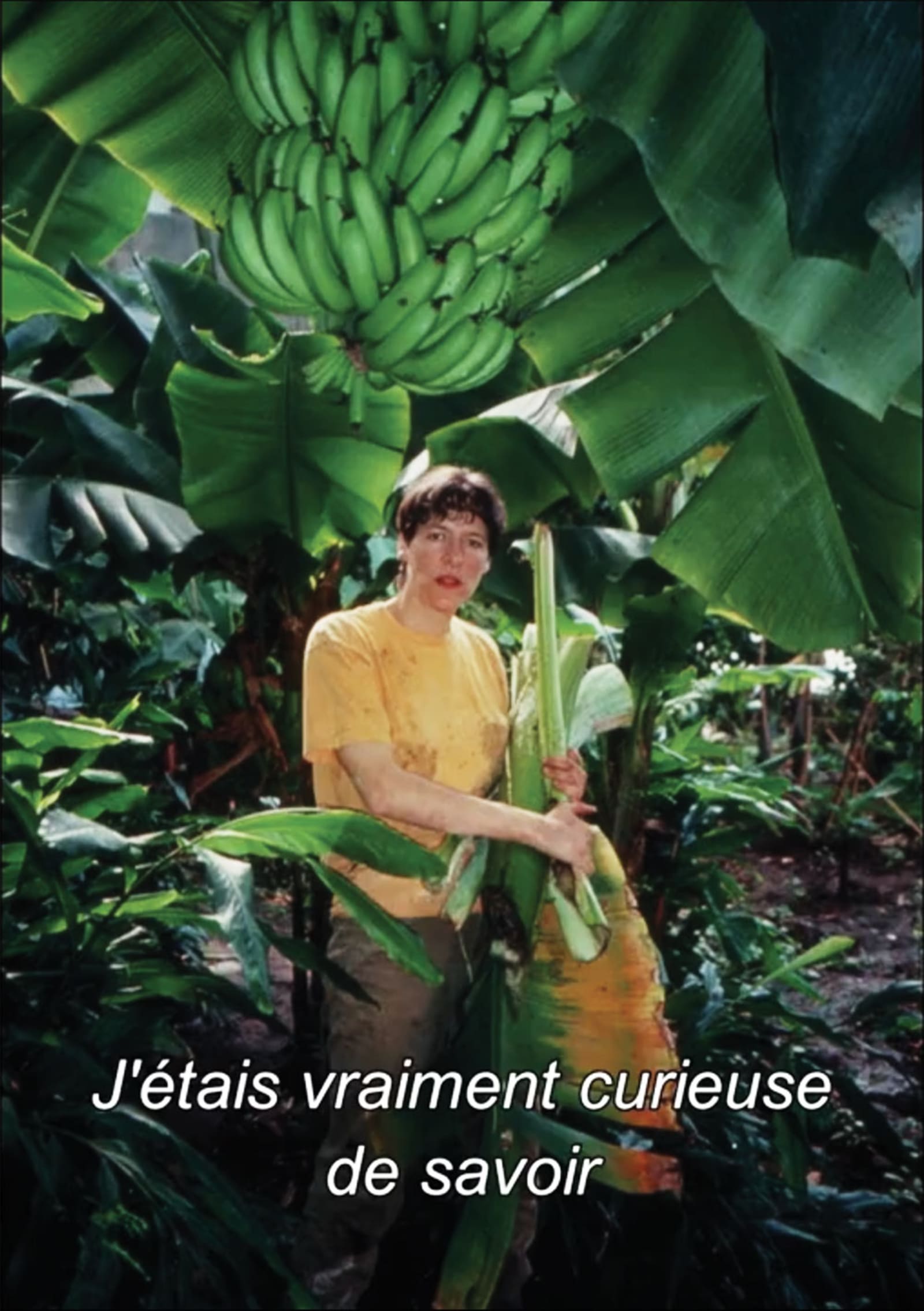 self-portrait (but with this girl instead of me) - someone in a yellow t-shirt is holding a banana tree leaf in front of more banana tree leaves - yellow t-shirt, banana tree, subtitle - paul lahana