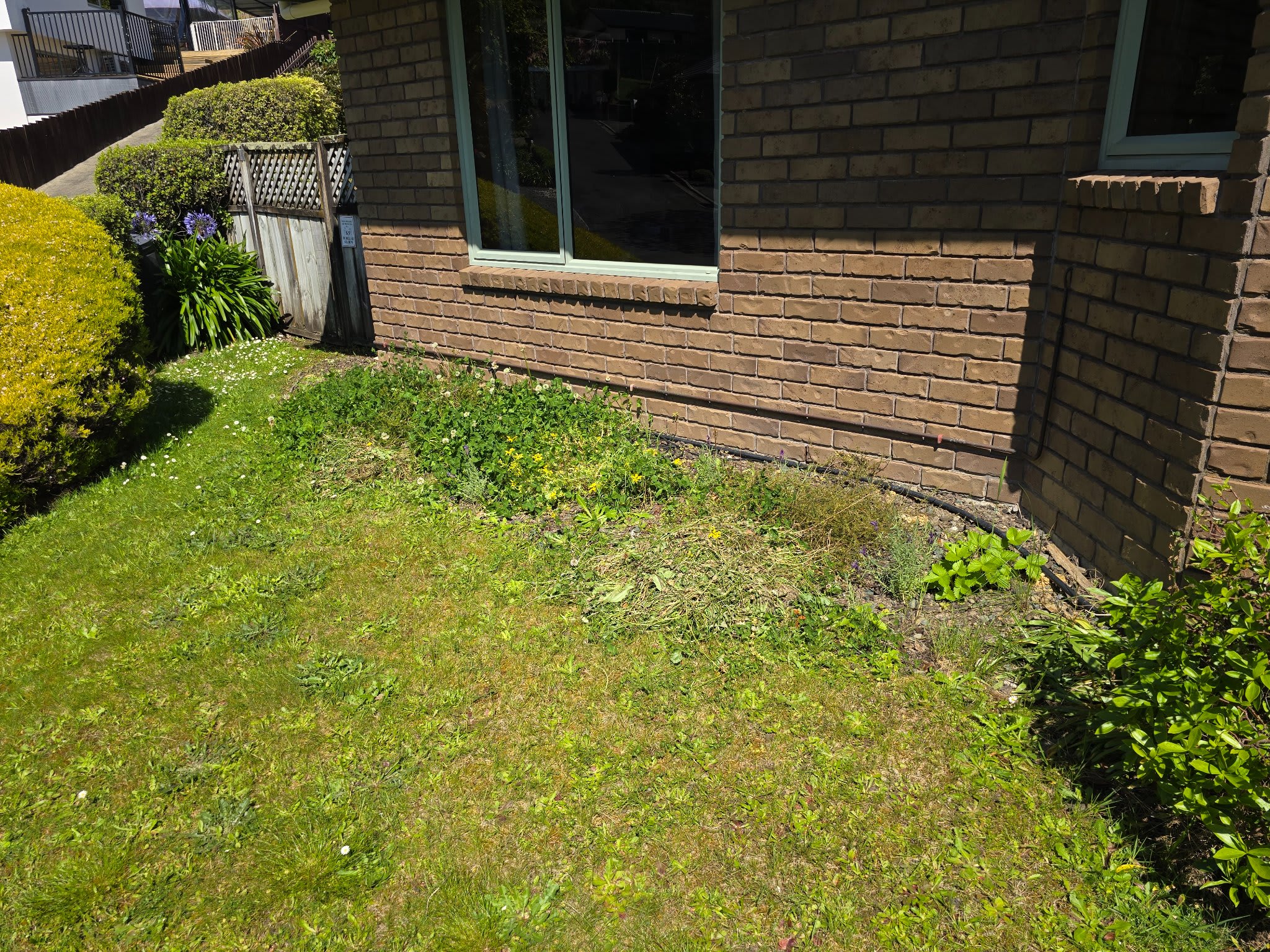 Before