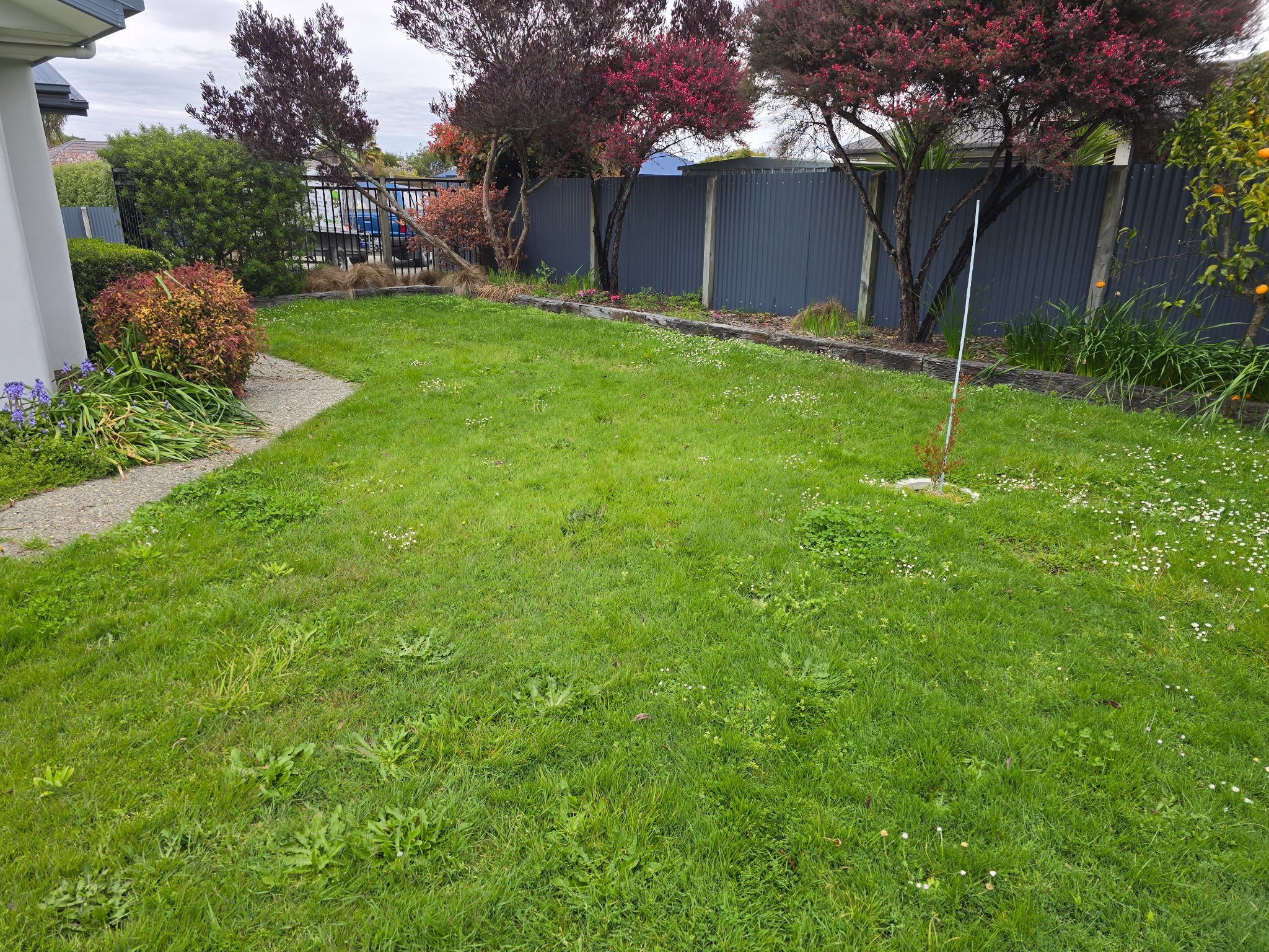 Before